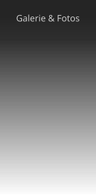 Galerie & Fotos